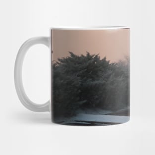 A Squall in March Mug